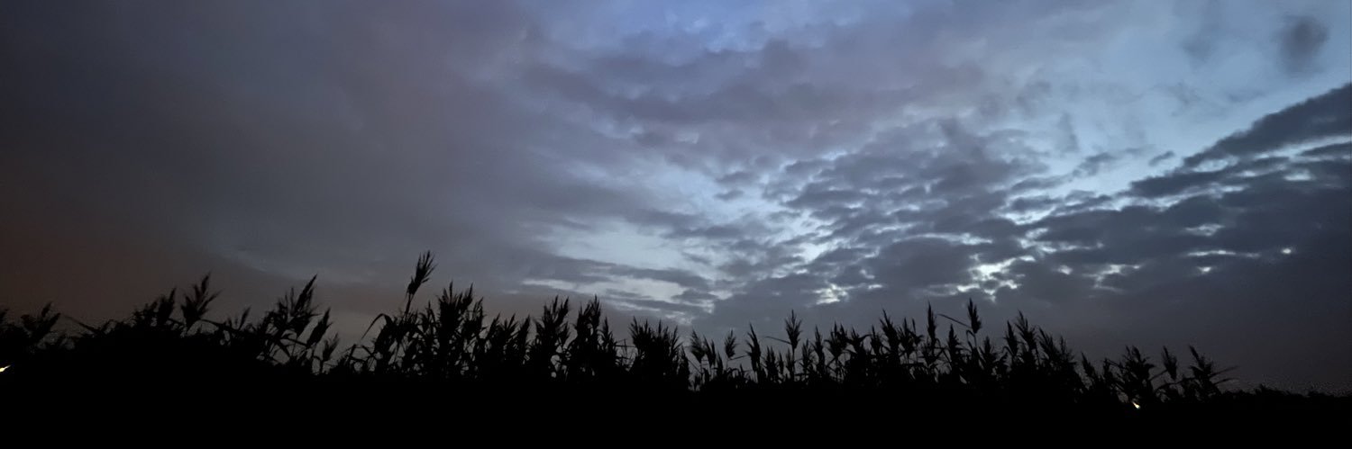 daneverard's profile banner image