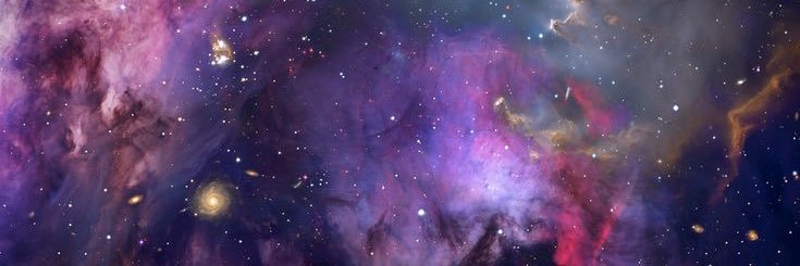 _SeaweedBrainx's profile banner image