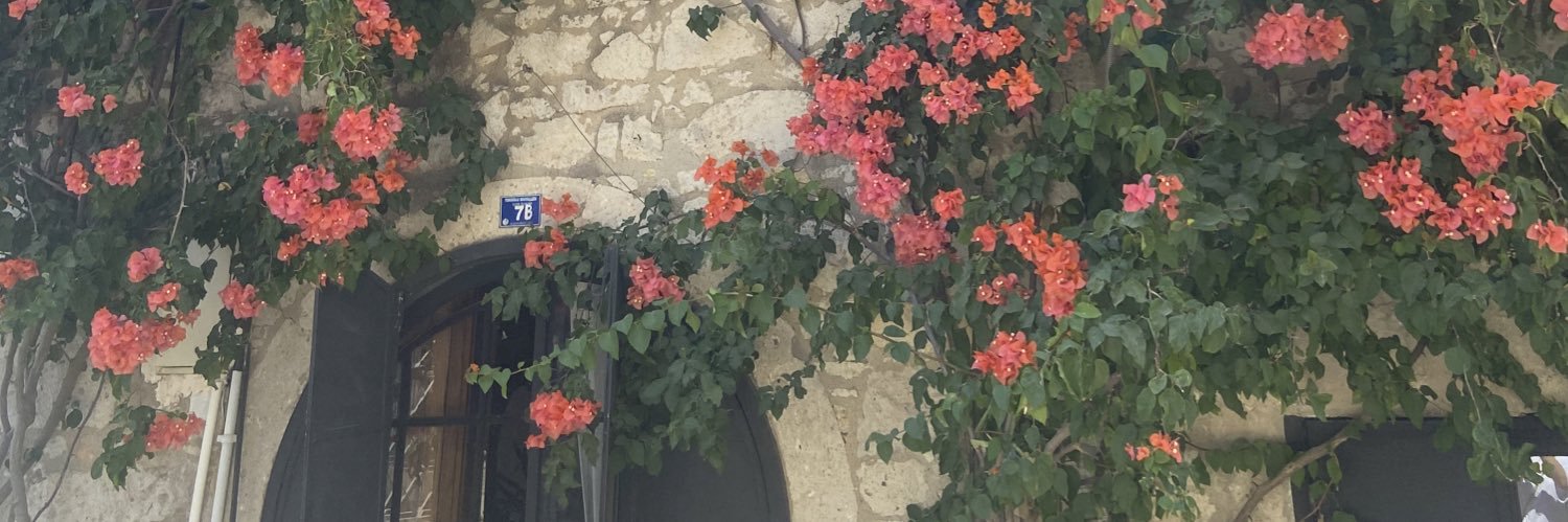 emaaanasad's profile banner image