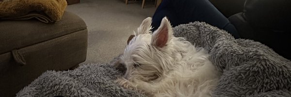 MattWHF Profile Banner