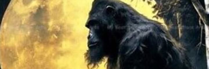 Tyler40209086's profile banner image