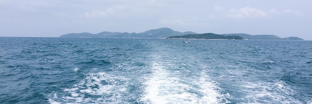 l banner