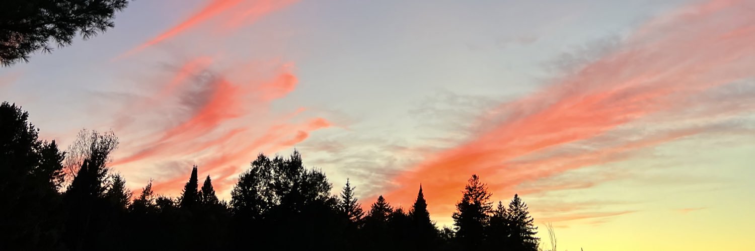 CharmaLippert1's profile banner image