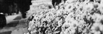 Mema_1118's profile banner image