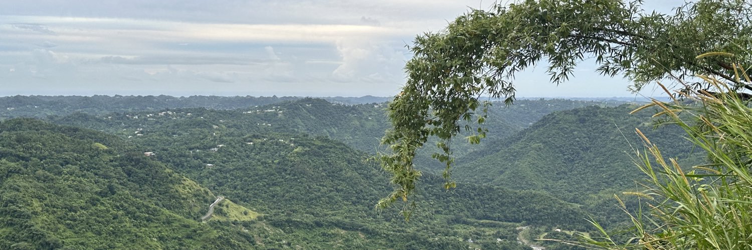 mgfeli_'s profile banner image
