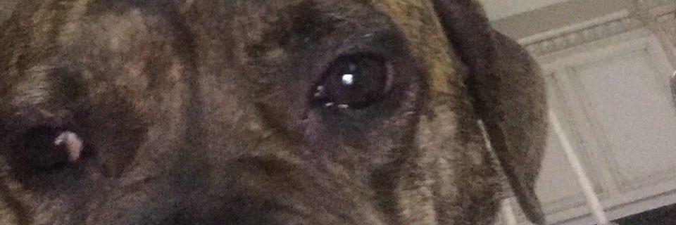 dickisinflames's profile banner image