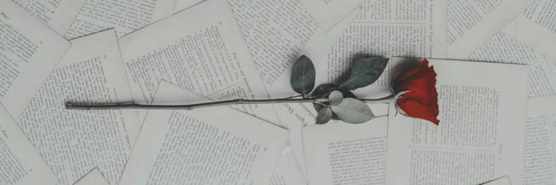 StaceyGSW's profile banner image