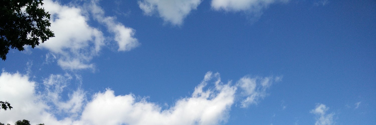 itszerfl's profile banner image