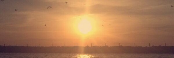 ZMinisce Profile Banner