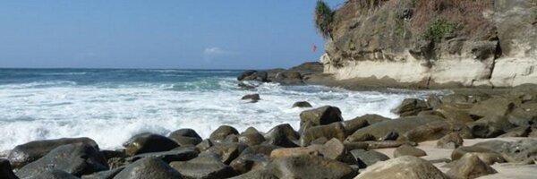 naraxtina Profile Banner