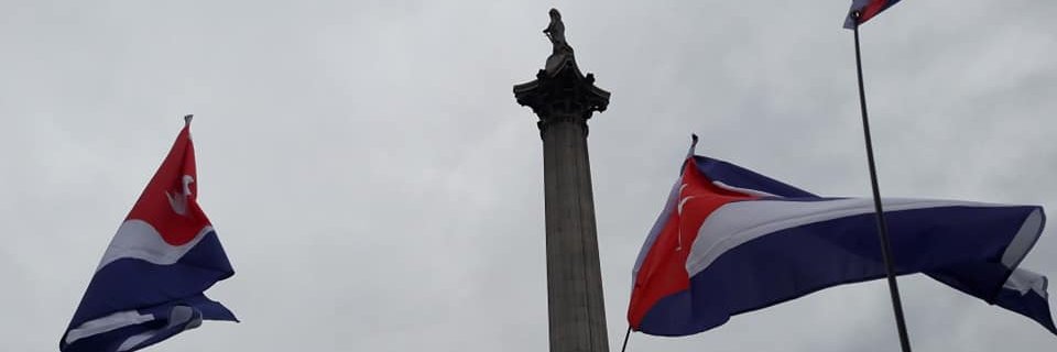 Dr. Valia Rodriguez's banner
