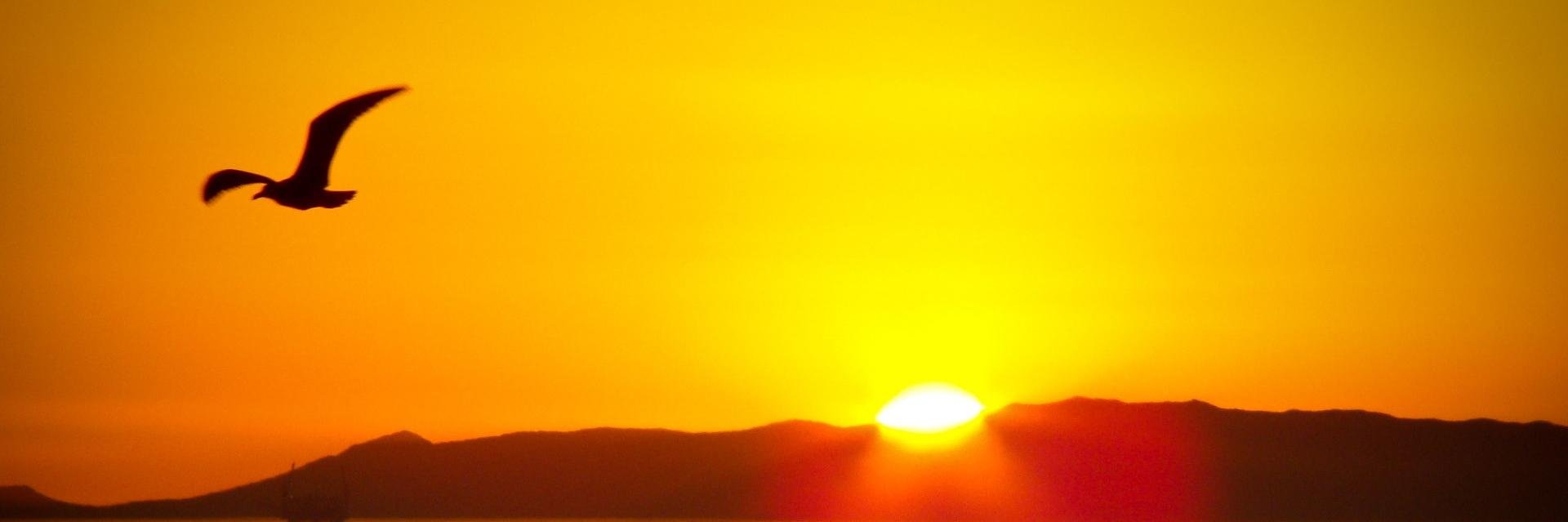 vikaspareek's profile banner image