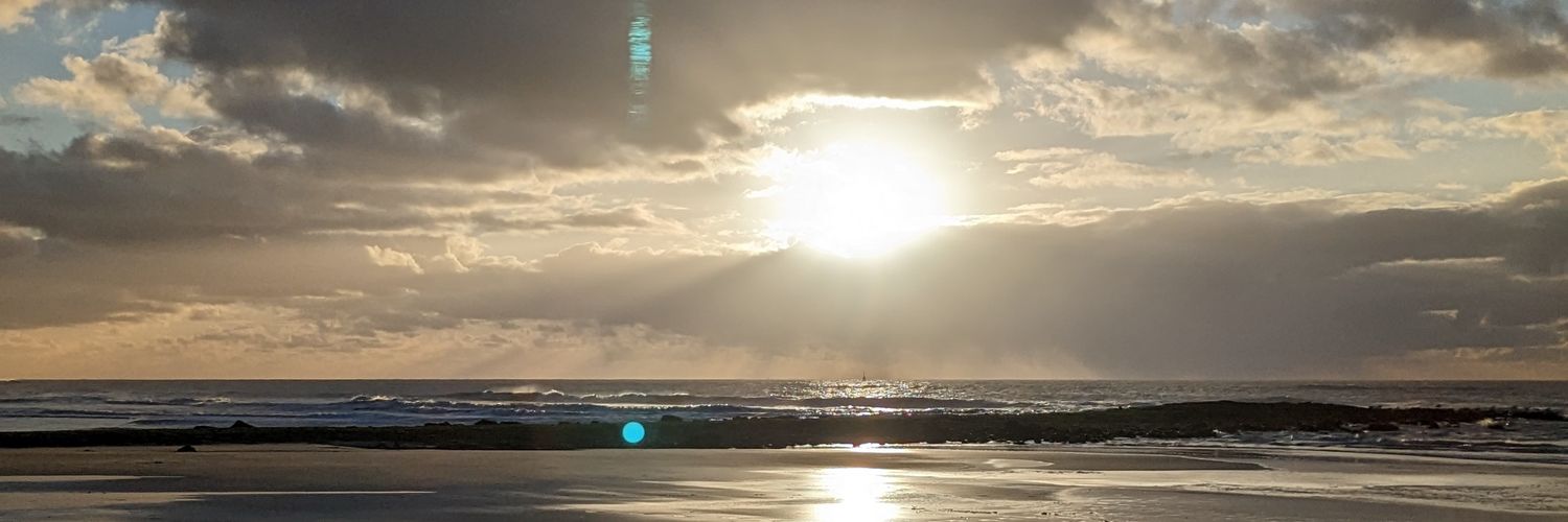 Ronald Schaefer banner