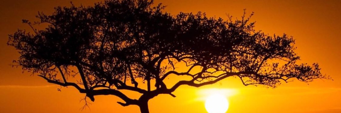 Alwayshopeful4's profile banner image