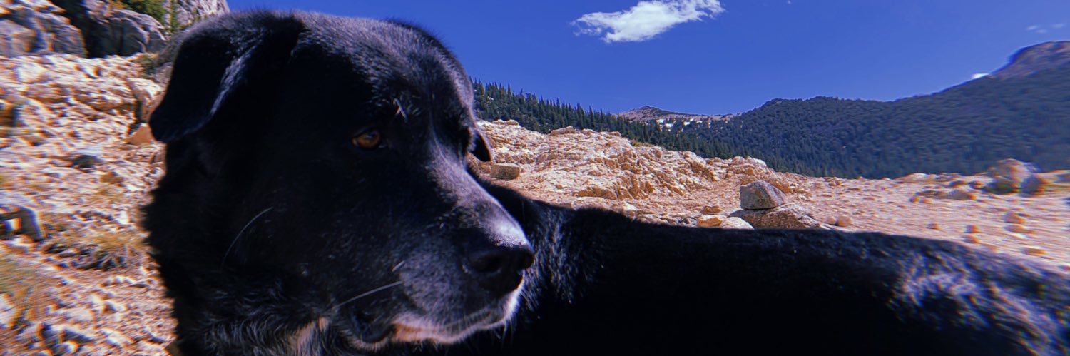 lmwilliams40's profile banner image