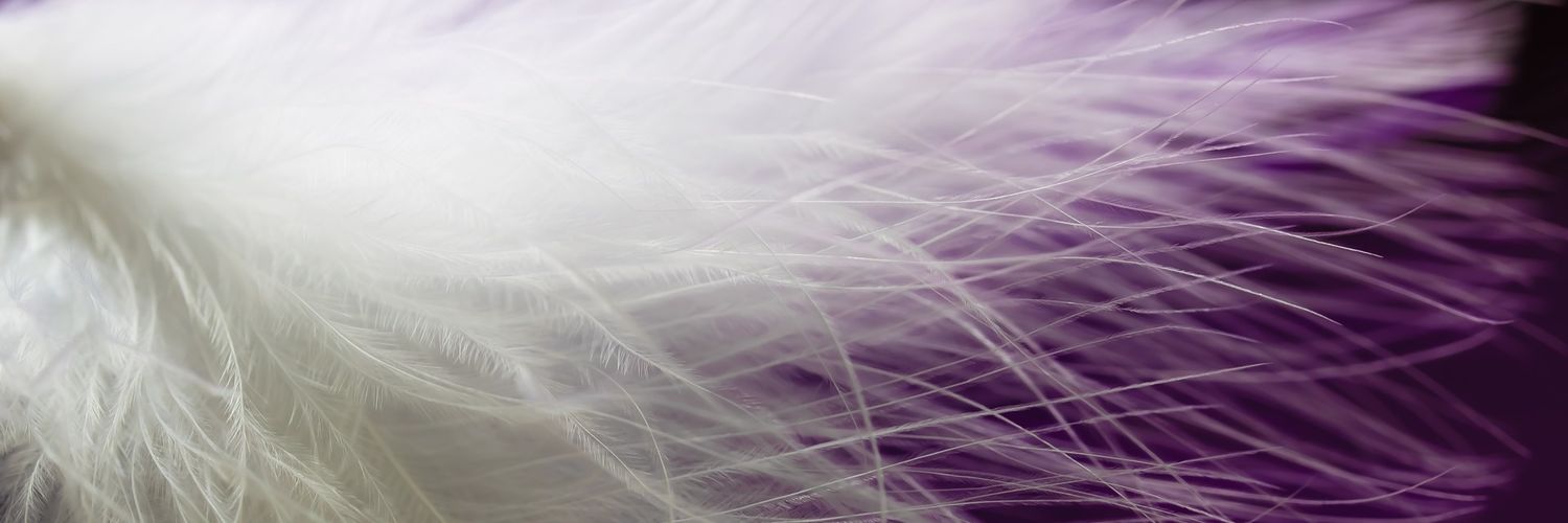 SandraDulier's profile banner image