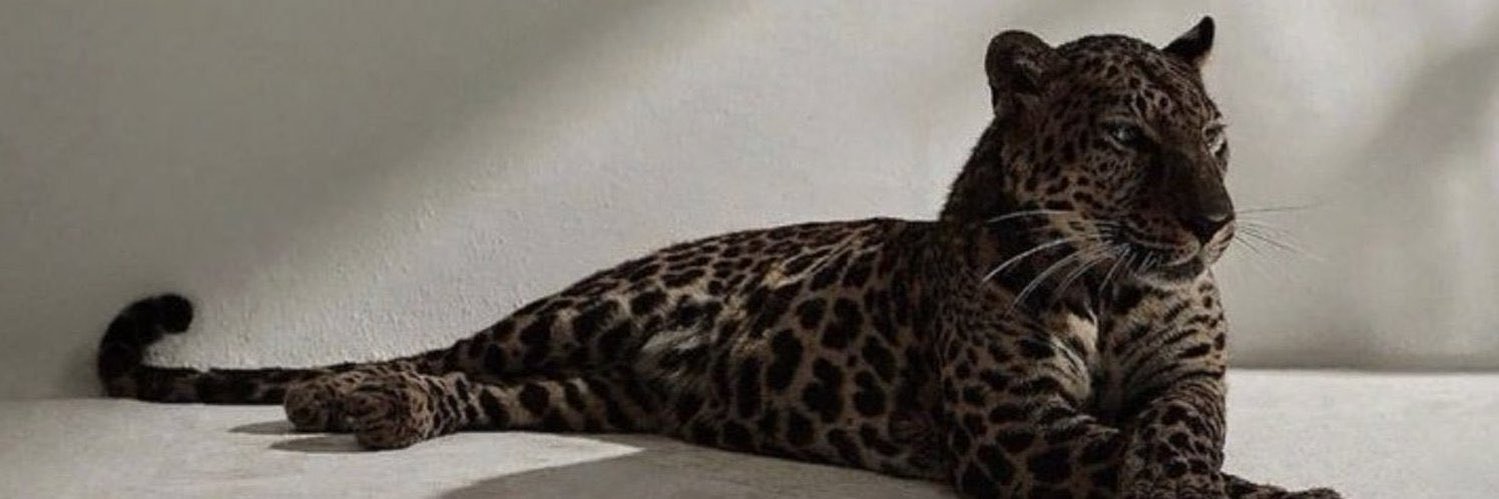 Mejj_44's profile banner image