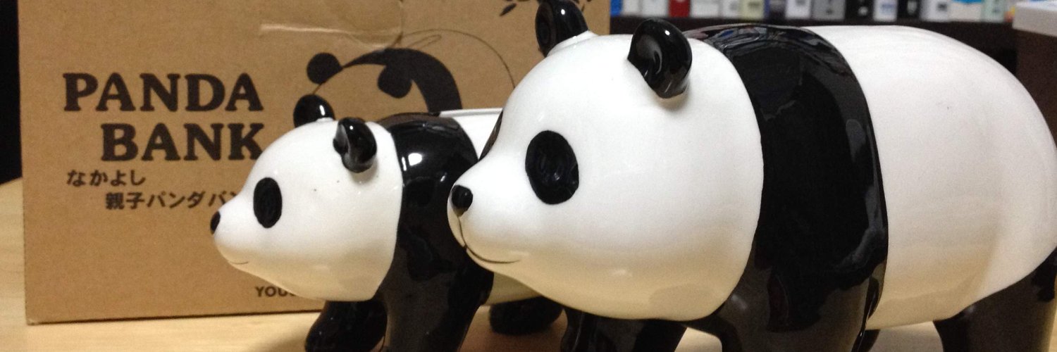 pandineer's profile banner image