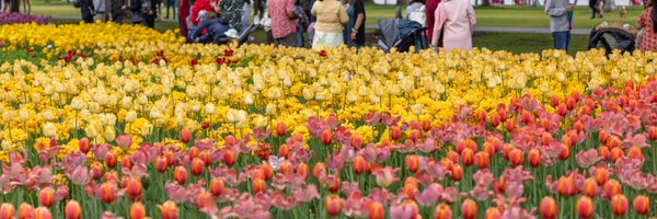 Mr_Rod_ Profile Banner