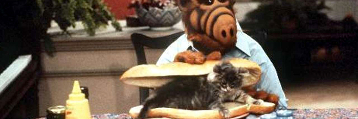 💥💥💥𝕨𝕒𝕕𝕕𝕝𝕖💥💥💥 banner