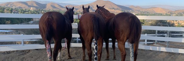 hannahb_39 Profile Banner