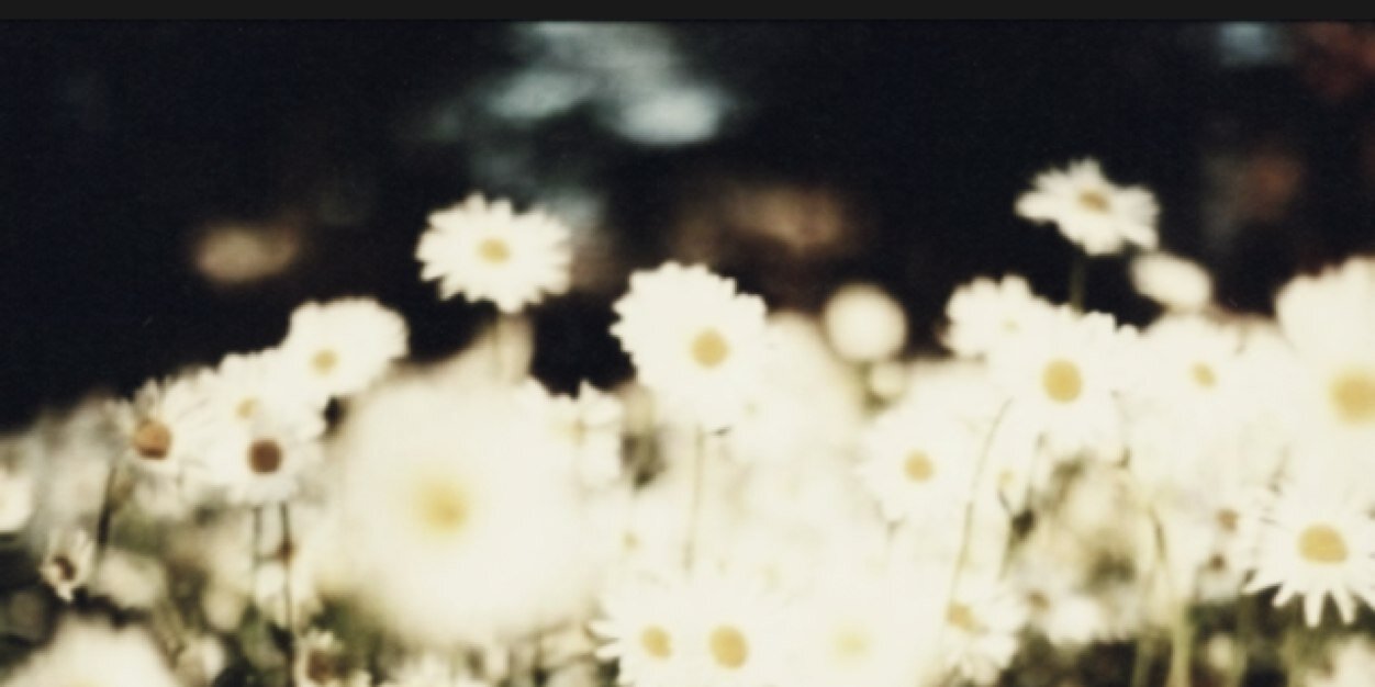 Ltingate's profile banner image