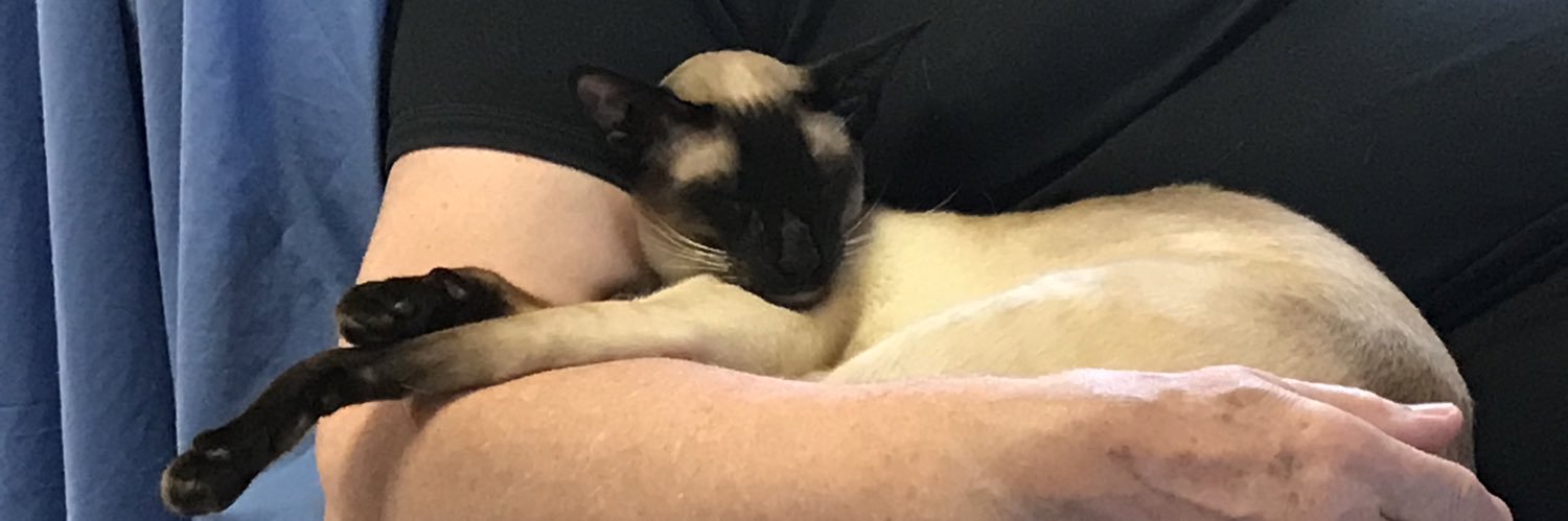 Monty banner