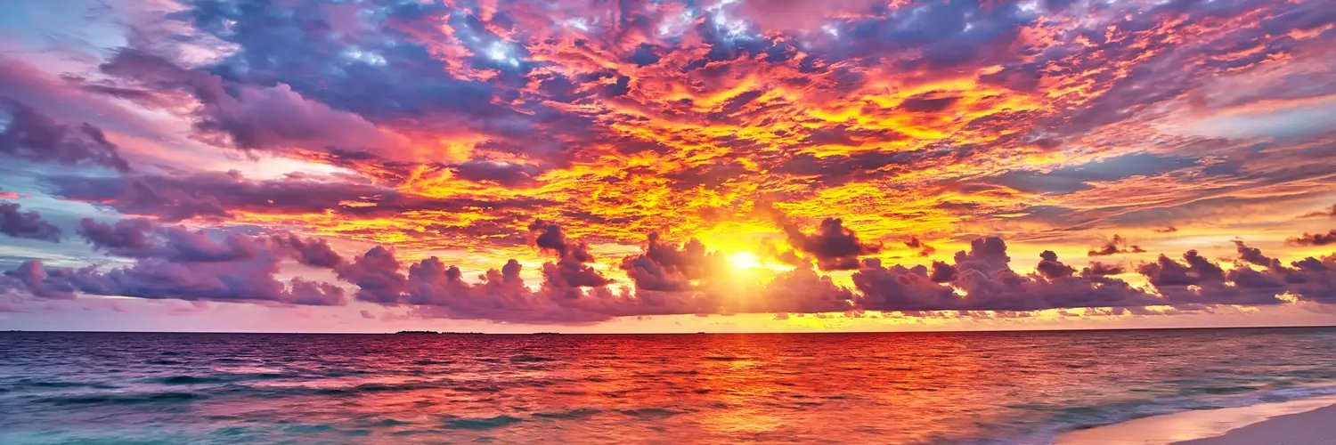 tedwanc's profile banner image