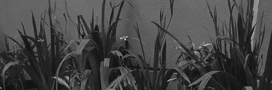 taetae_bye's profile banner image
