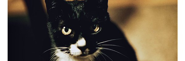 masound Profile Banner