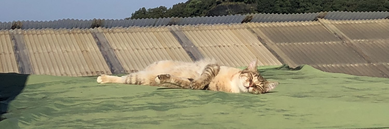 taruham@玉子王子 banner