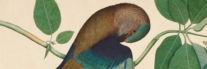 TwittySant's profile banner image
