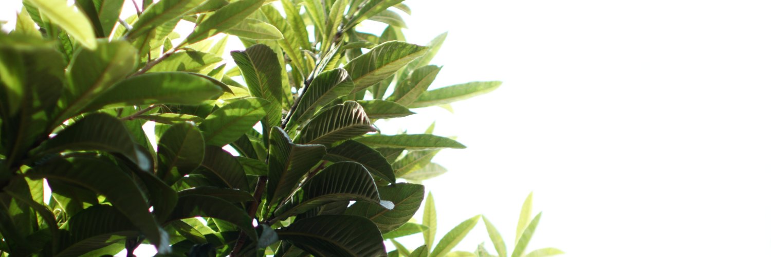 ATTKS's profile banner image