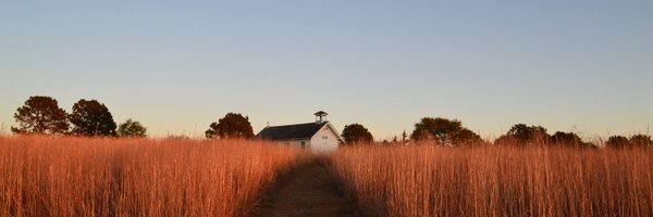 MichelleDeRusha Profile Banner