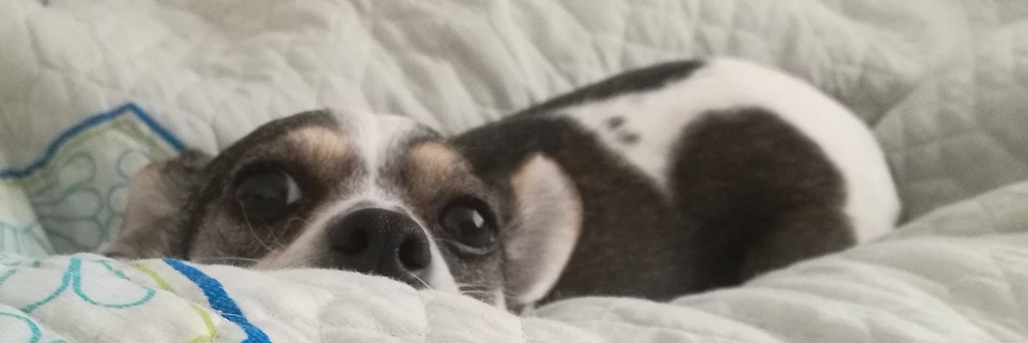 Queen_VLB's profile banner image