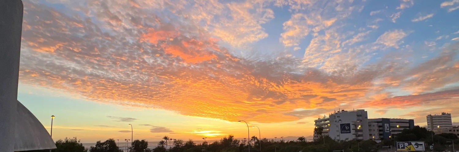 mmoreey's profile banner image