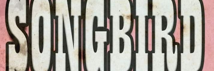 StephGMusic's profile banner image