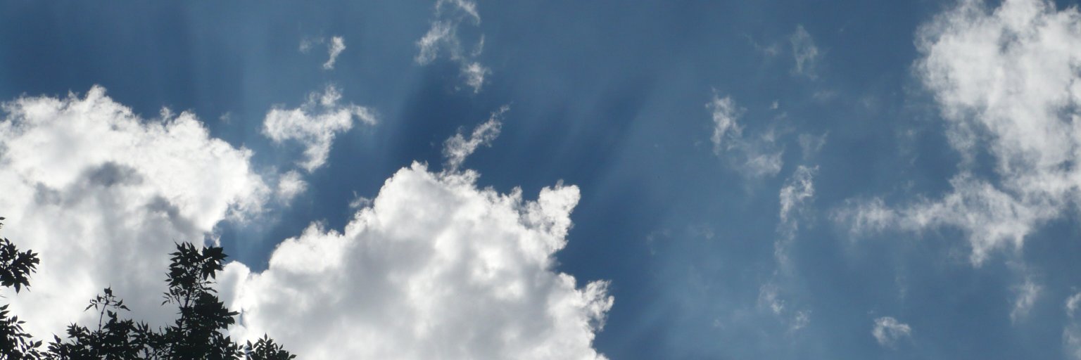 Helene Molinier banner