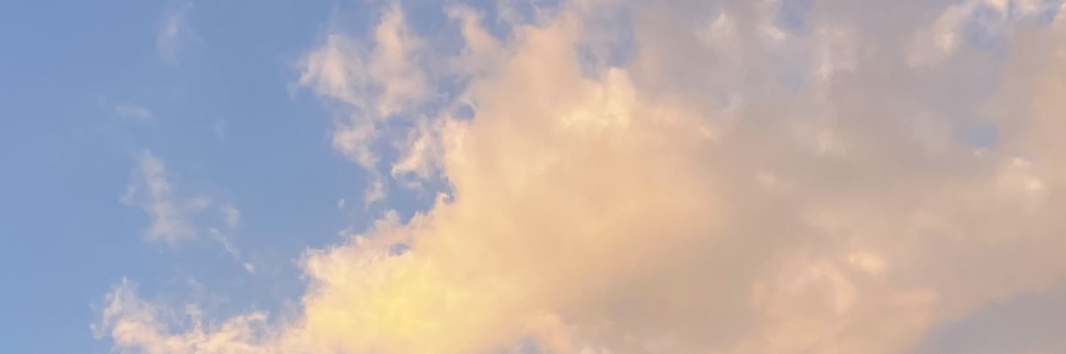 lunamelg's profile banner image