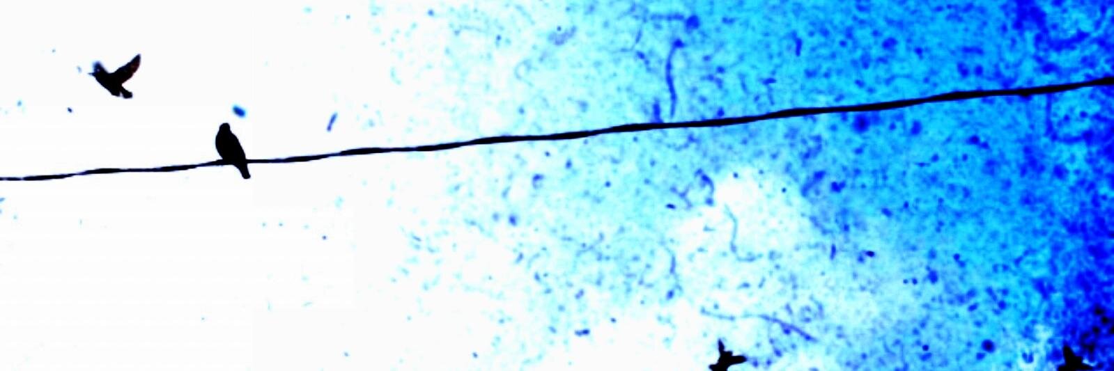 WGrahamMusic's profile banner image