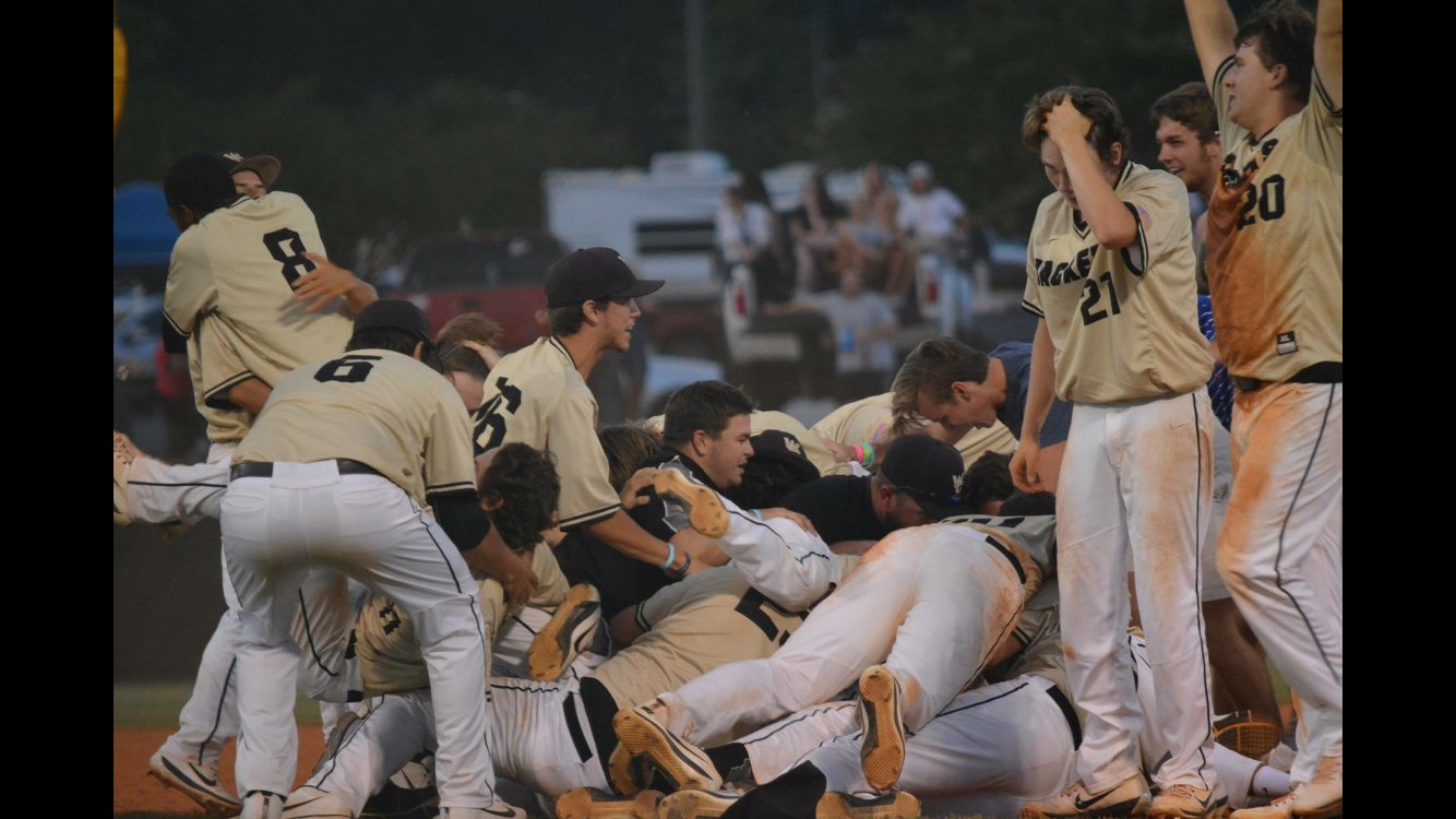 WayneBaseball banner