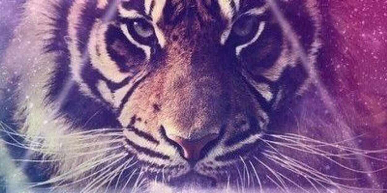 NininSavitri's profile banner image