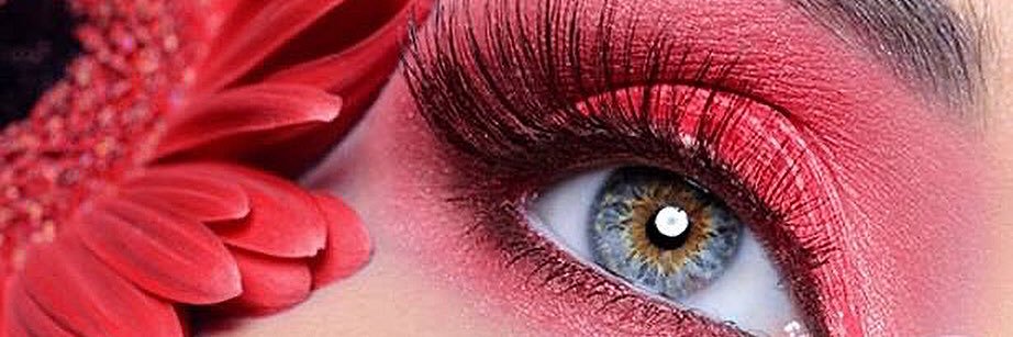 hollywoodlashes's profile banner image