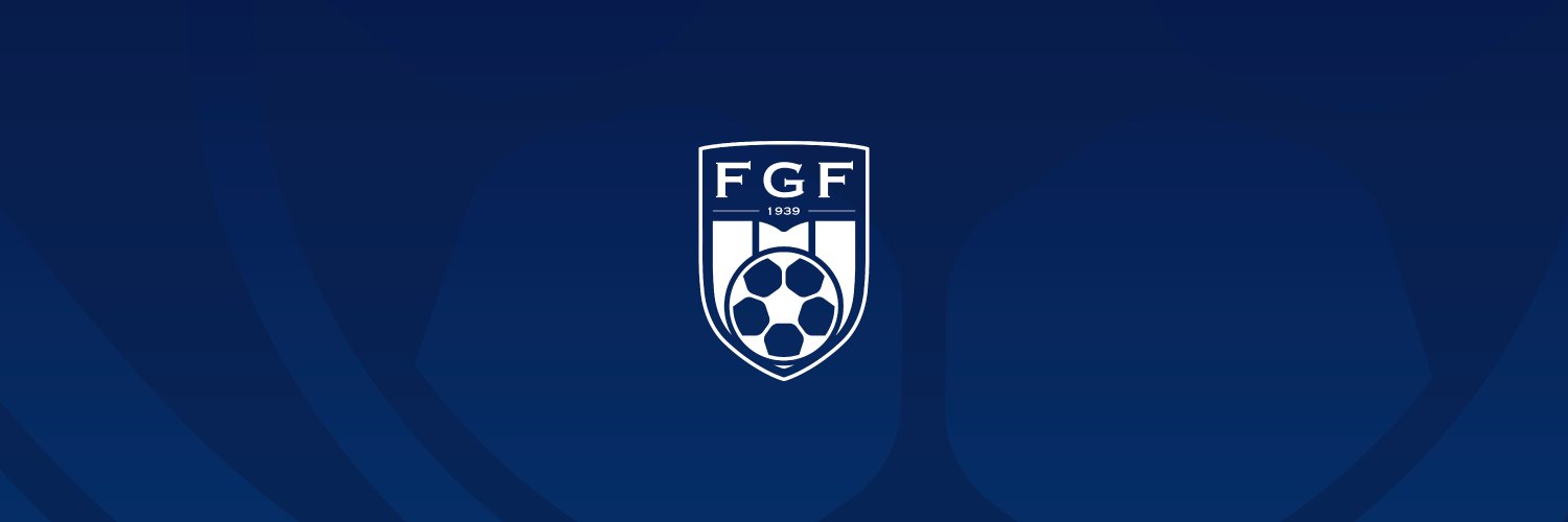 Federação Goiana de Futebol banner