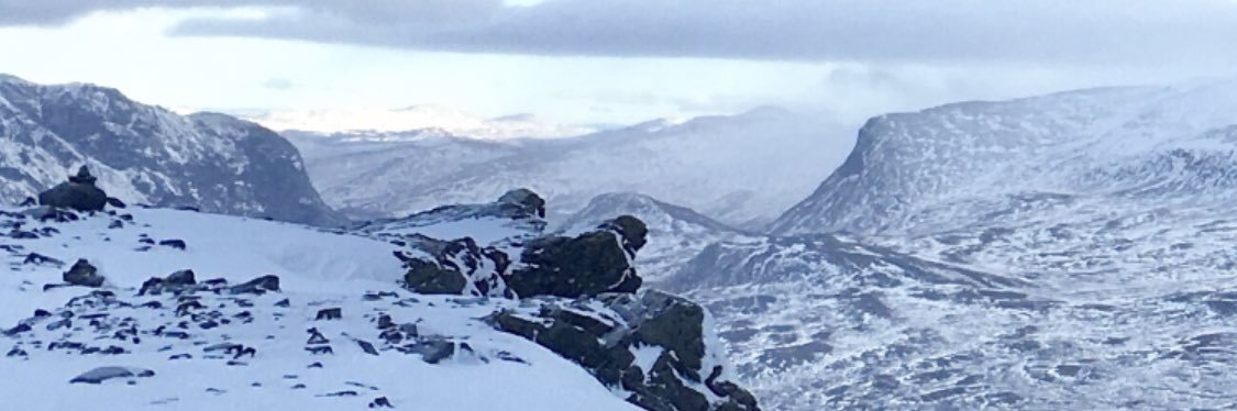 Lucie Rodriguez-Coffinet, PhD banner