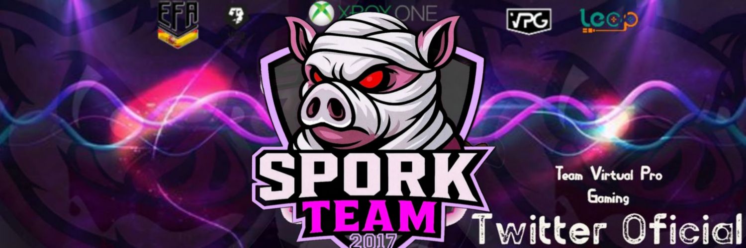 SPORK TEAM banner