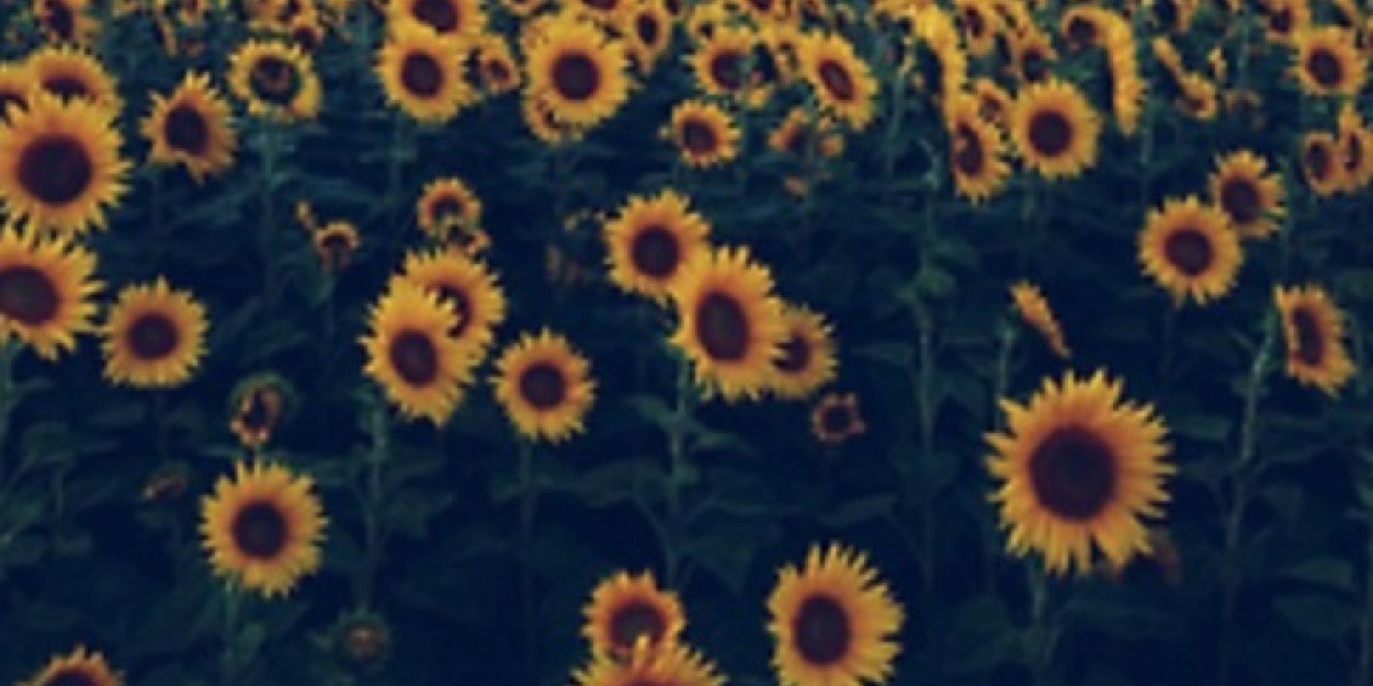 Barraza__'s profile banner image