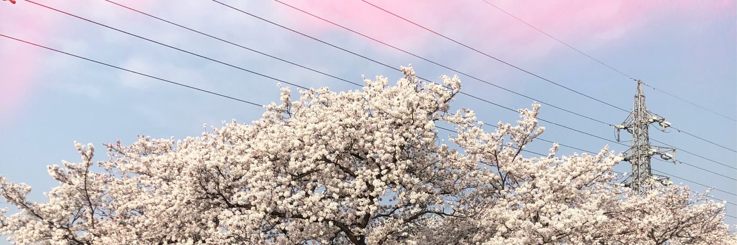 tsukushiLover's profile banner image