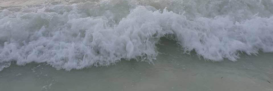 upawupa's profile banner image