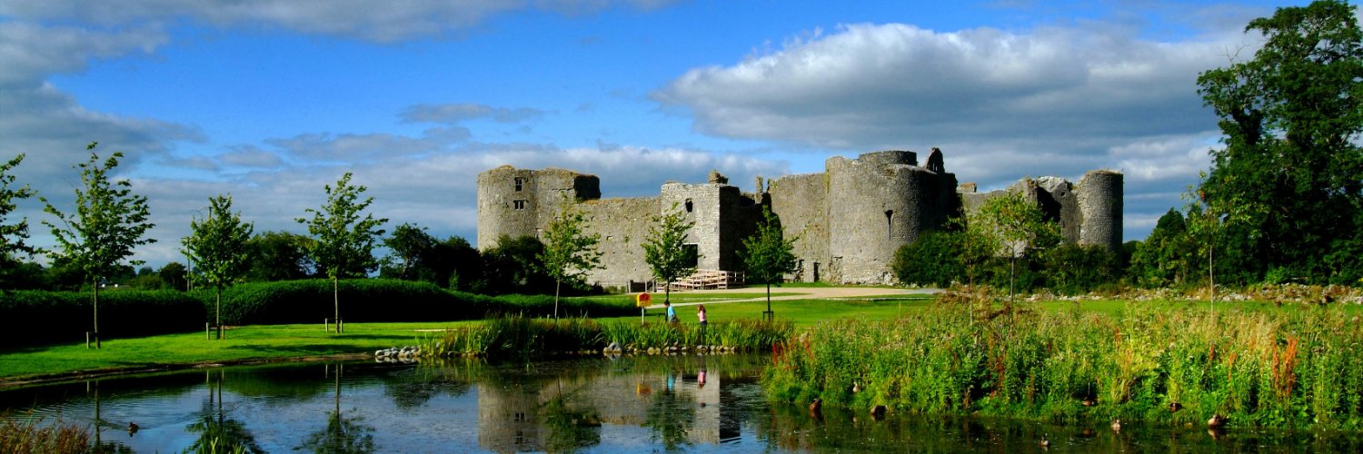 Roscommon County Council banner